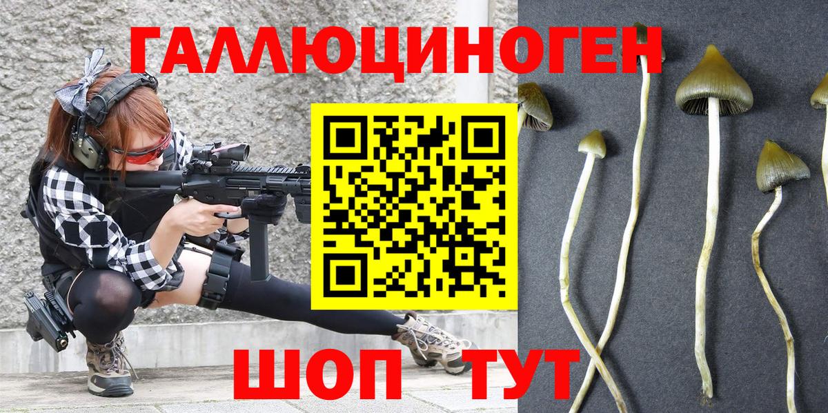 Галлюциногенные грибы мицелий  Вход с VPN  Вышний Волочёк 