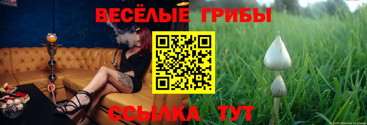 Псилоцибиновые грибы ЛСД Вышний Волочёк